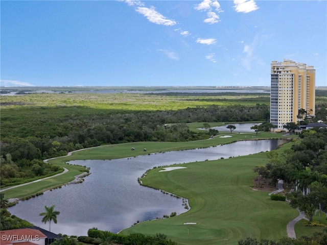 bird's eye view with a water view