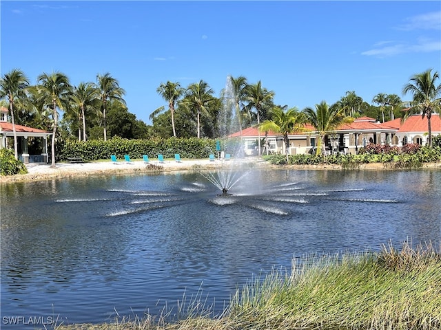 view of water feature