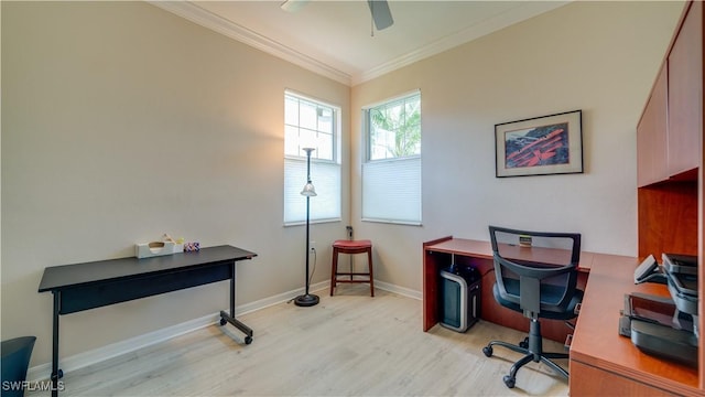 office with light wood-type flooring, ceiling fan, and crown molding