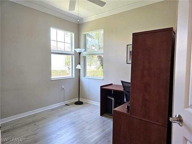 office area with ornamental molding, light wood-style floors, baseboards, and ceiling fan