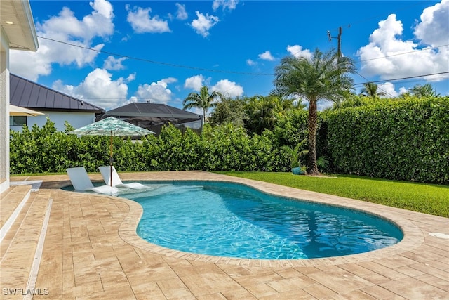 view of pool with a patio area