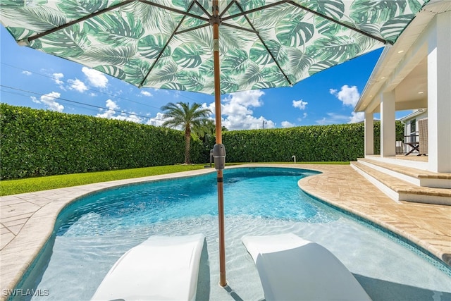 view of swimming pool with a patio