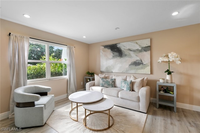 living room with light hardwood / wood-style flooring