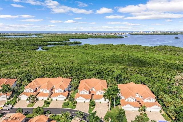 aerial view with a water view