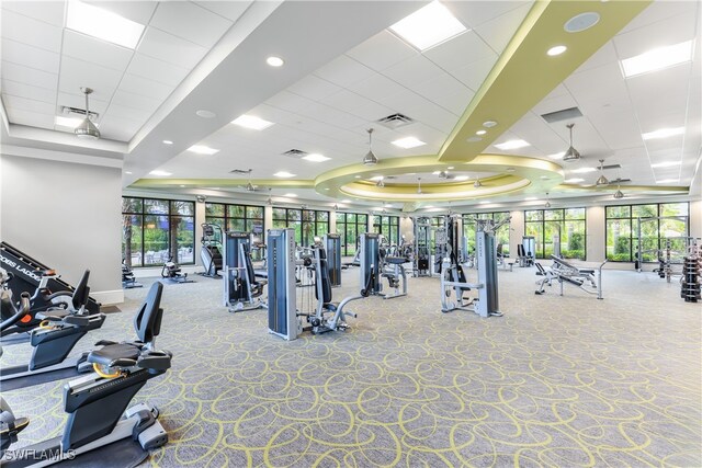 workout area with a wealth of natural light, a raised ceiling, carpet flooring, and ceiling fan