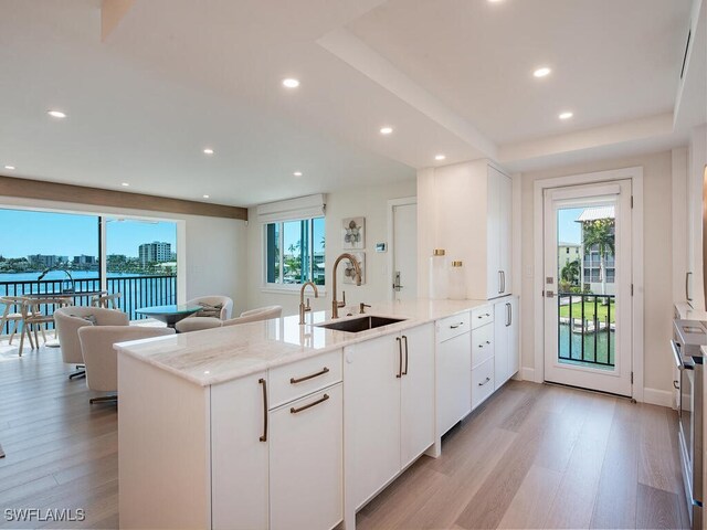 kitchen featuring light stone countertops, light hardwood / wood-style flooring, plenty of natural light, and sink