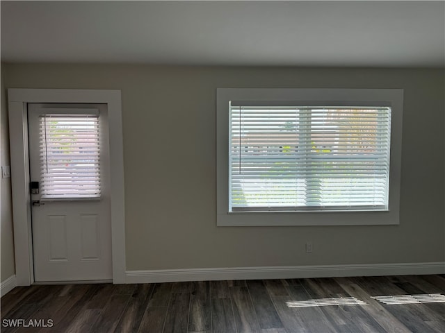 entryway featuring dark wood-type flooring