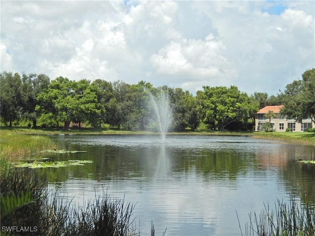 view of water feature