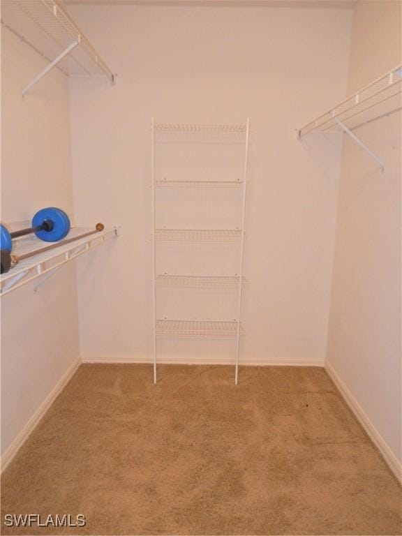 walk in closet with carpet