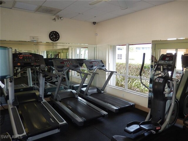 workout area with a drop ceiling and a wealth of natural light