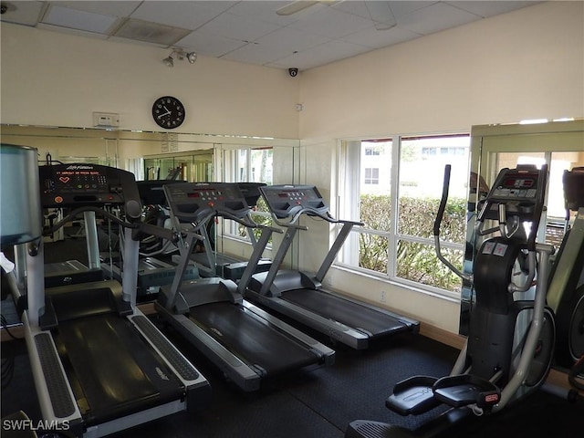 workout area with a healthy amount of sunlight and a drop ceiling