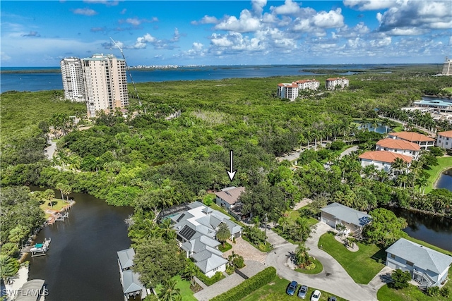 bird's eye view with a water view