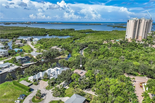 bird's eye view with a water view