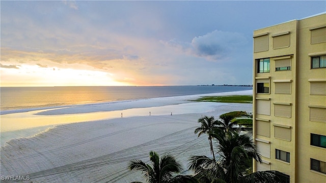 view of water feature with a beach view