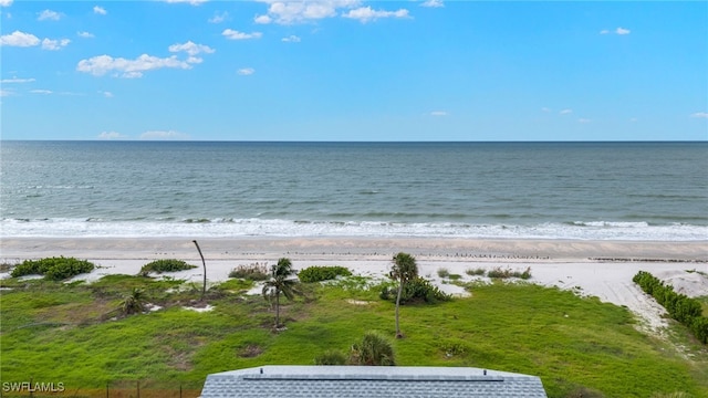 water view featuring a beach view