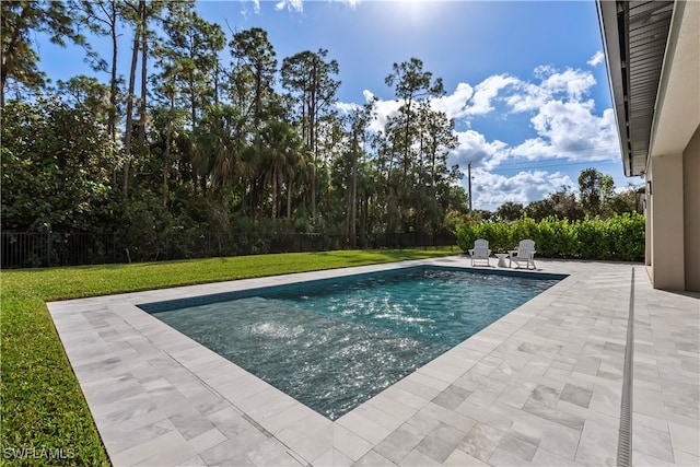 view of swimming pool with a patio and a lawn