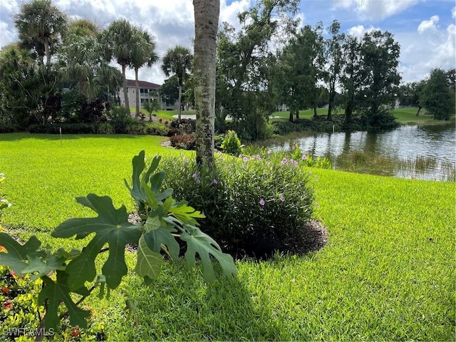 view of yard featuring a water view