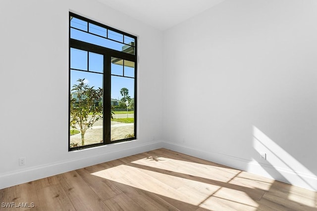 empty room with wood-type flooring