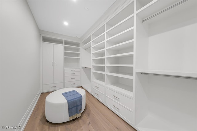 spacious closet with light wood-style floors