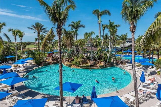 view of swimming pool featuring a patio area