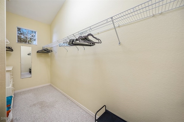 spacious closet with carpet flooring