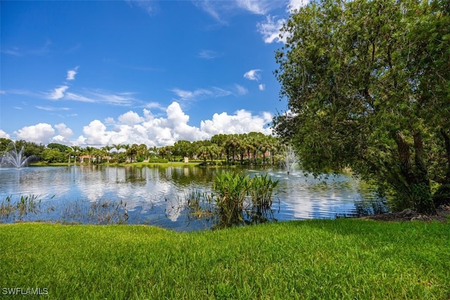 view of water feature