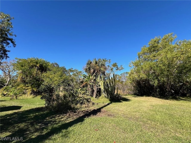 1603 Tom Coker Rd, Labelle, FL 33935 - view of grassy yard