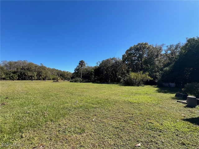 view of yard featuring a rural view