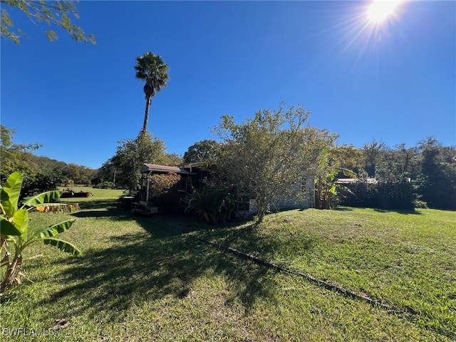 1603 Tom Coker Rd, Labelle, FL 33935 - view of green lawn