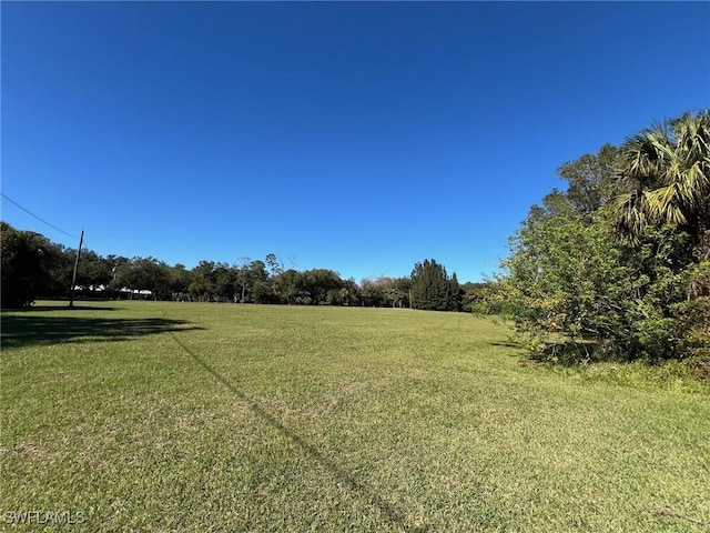 1603 Tom Coker Rd, Labelle, FL 33935 - view of grassy yard