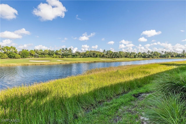 property view of water