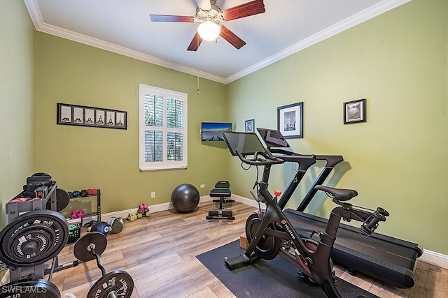 workout room featuring crown molding, ceiling fan, and light wood-type flooring