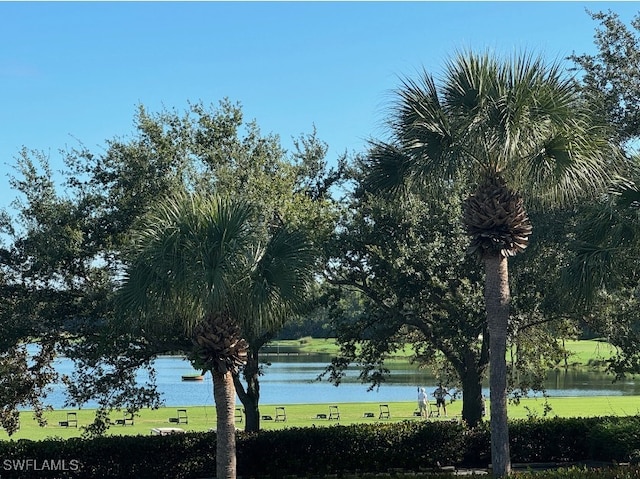 view of water feature