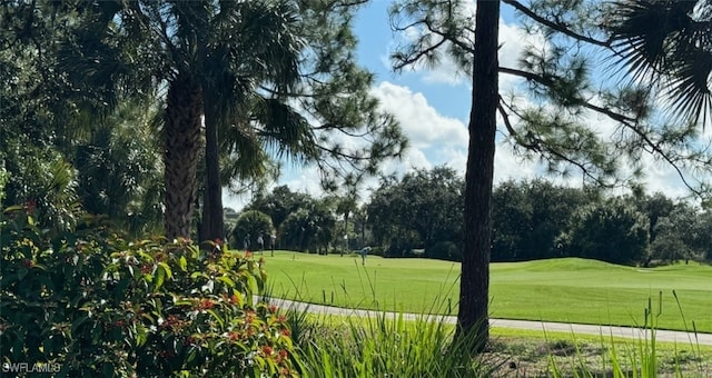 view of community featuring a lawn