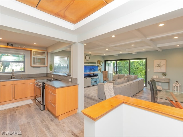 kitchen featuring electric range, light hardwood / wood-style floors, plenty of natural light, and sink