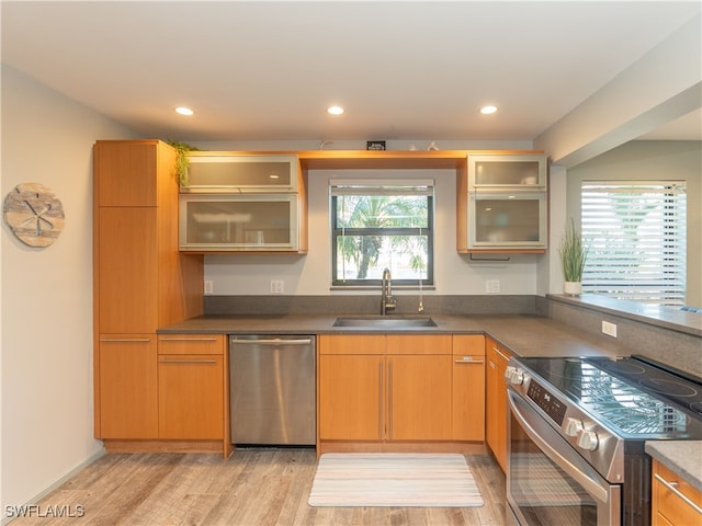 kitchen featuring appliances with stainless steel finishes, light hardwood / wood-style flooring, plenty of natural light, and sink