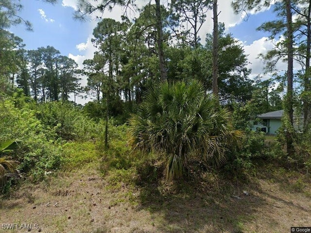 Listing photo 2 for 405 Lincoln Ave, Lehigh Acres FL 33972