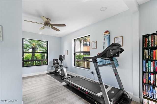 exercise area with light wood-type flooring and ceiling fan