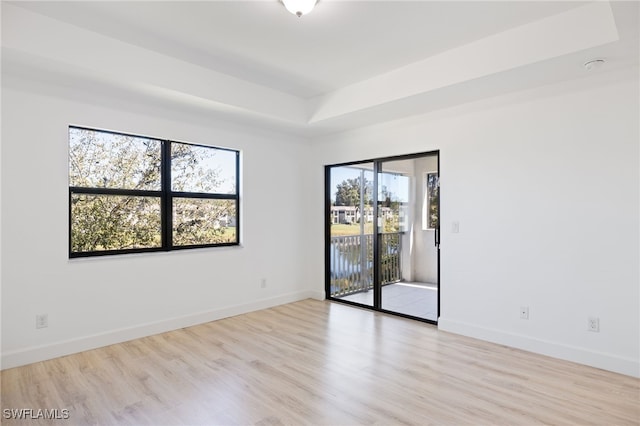 empty room featuring light hardwood / wood-style floors and a raised ceiling