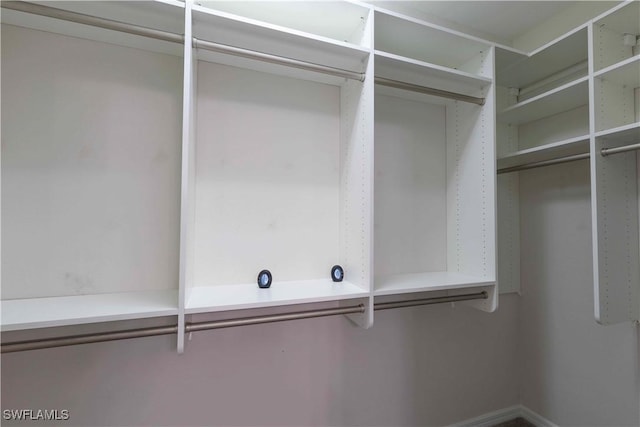 view of spacious closet