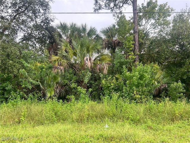 3620 30th Ave SE, Naples FL, 34117 land for sale