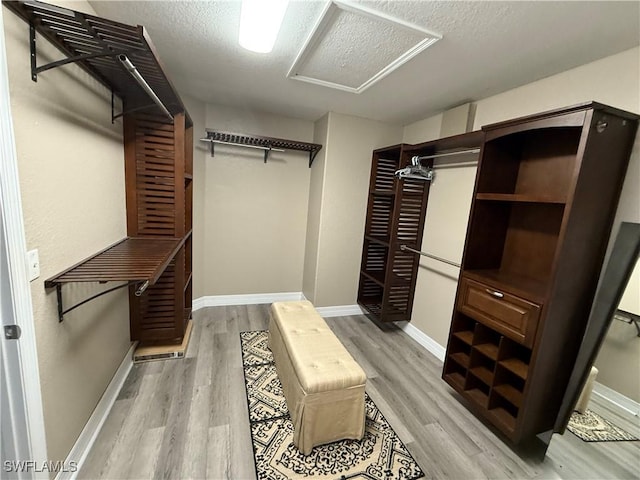 spacious closet with light hardwood / wood-style flooring