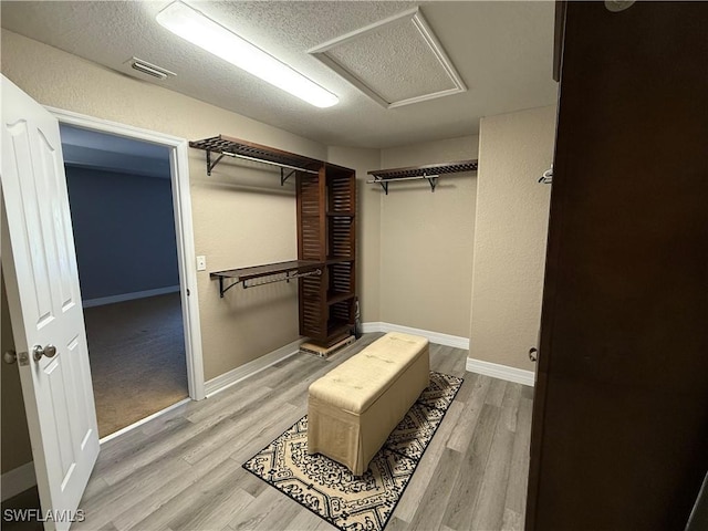 spacious closet featuring light hardwood / wood-style floors