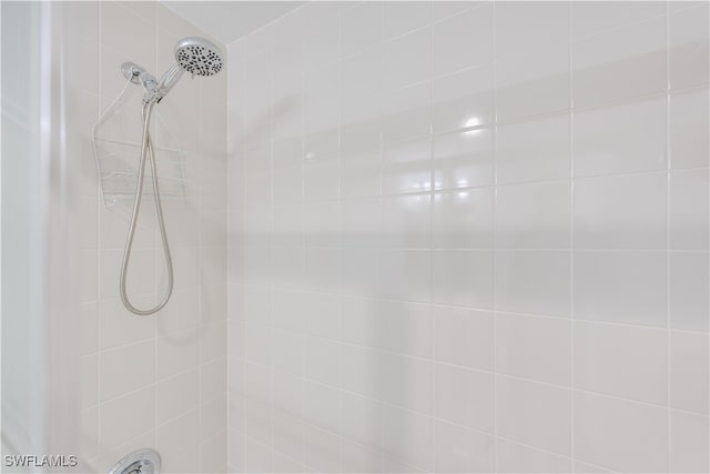 interior details with tiled shower