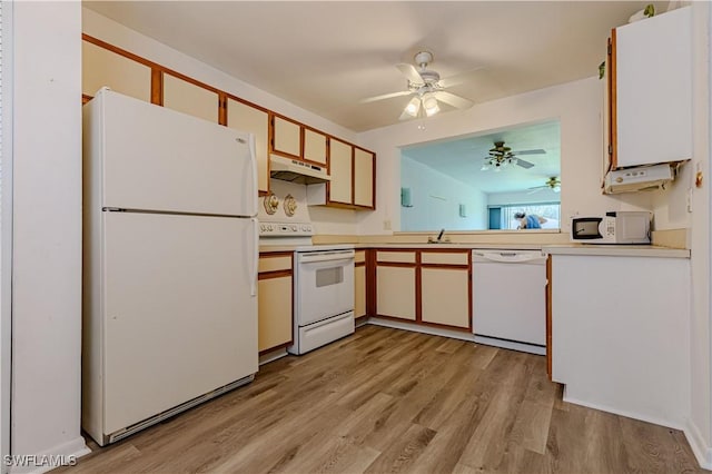 kitchen featuring white cabinetry, sink, ceiling fan, white appliances, and light hardwood / wood-style flooring