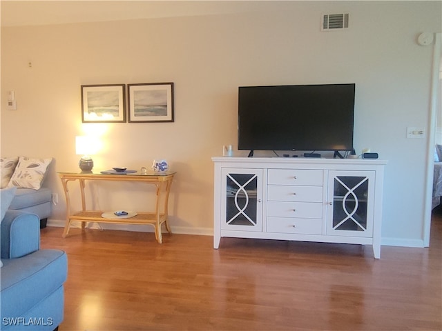 living room featuring wood-type flooring