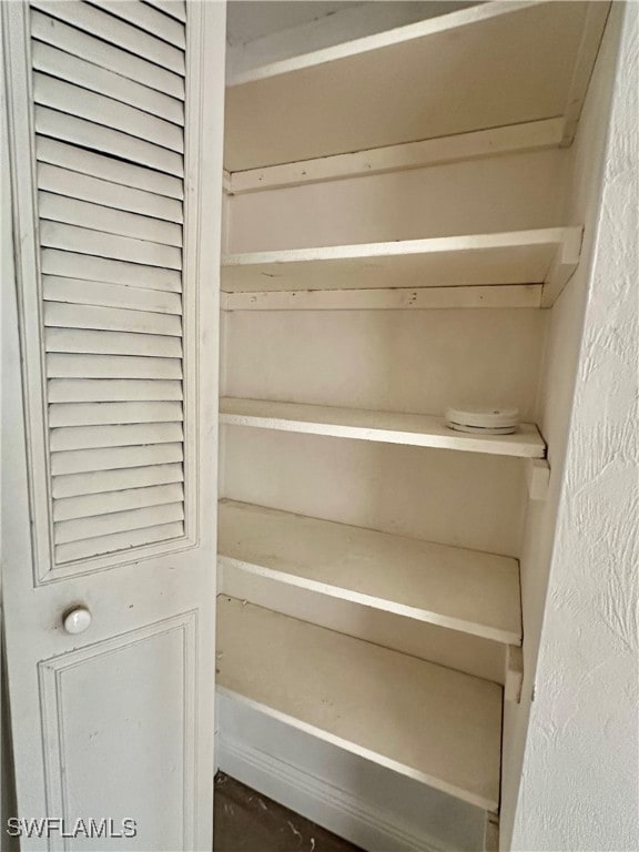 view of closet