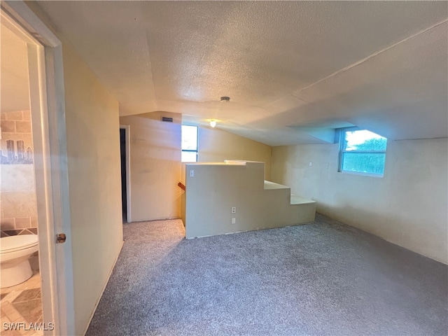 additional living space with lofted ceiling, a healthy amount of sunlight, carpet, and a textured ceiling