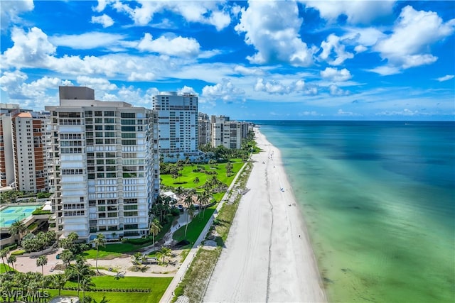 water view with a view of the beach