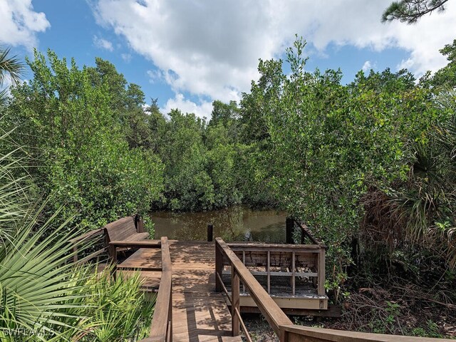 dock area with a water view